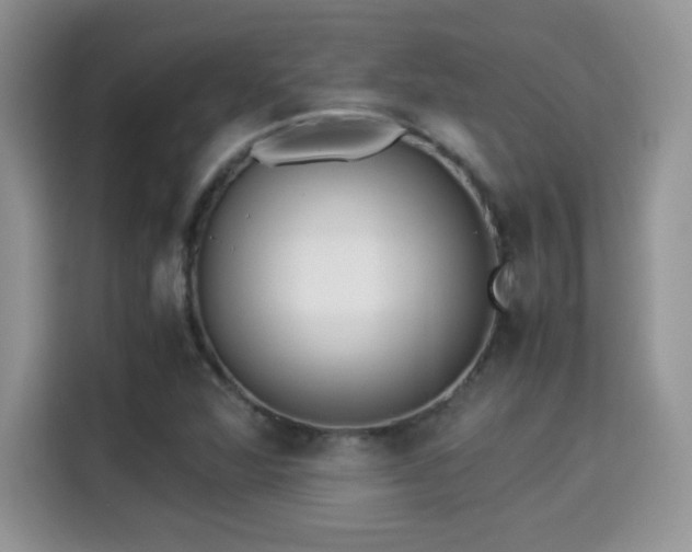 X0000115301360200911091004