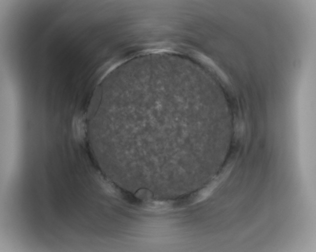 X0000115301361200911091004