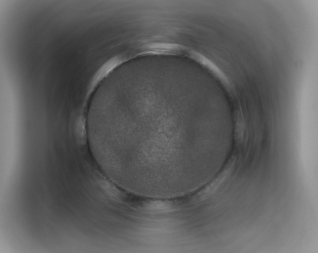 X0000115301362200911091004