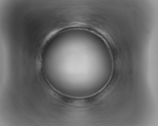 X0000115301363200911091004