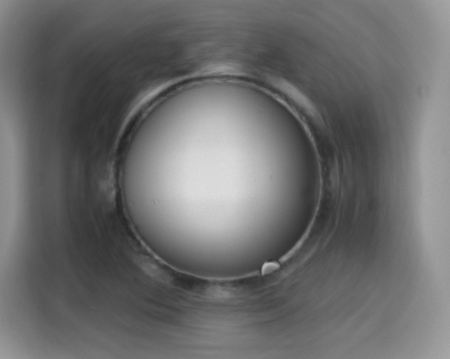 X0000115301364200911091004