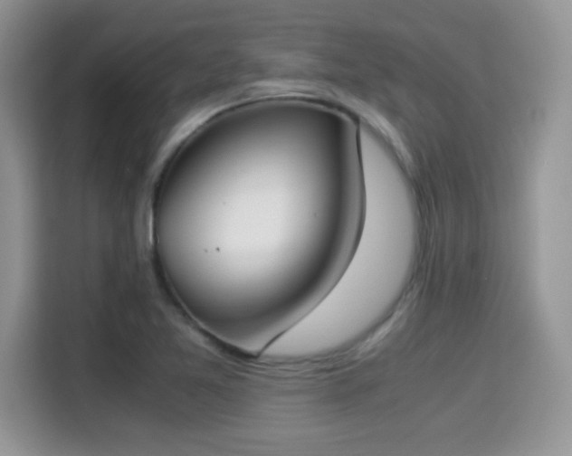 X0000115301365200911091004