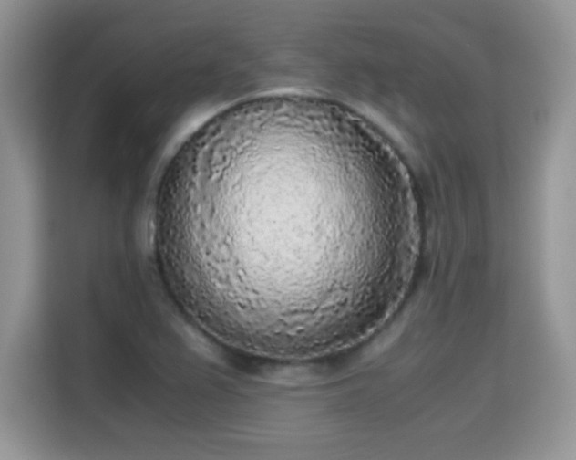 X0000115301367200911091003