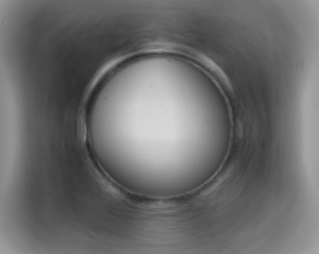 X0000115301368200911091003