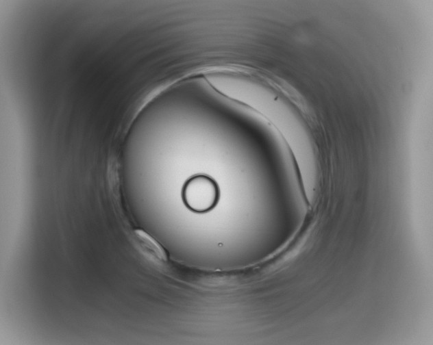 X0000115301369200911091003