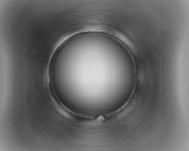 X0000115301372200911091003