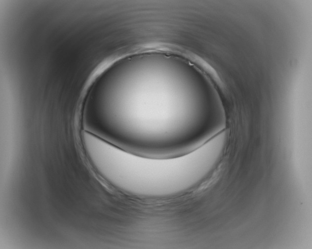X0000115301373200911091003