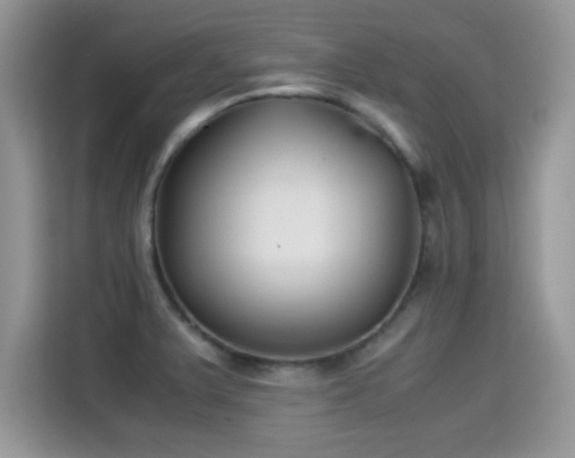 X0000115301375200911091003