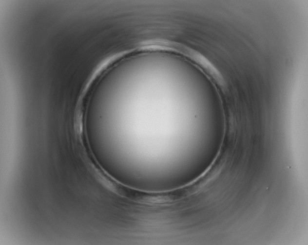 X0000115301376200911091003