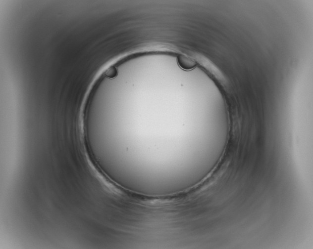 X0000115301380200911091003