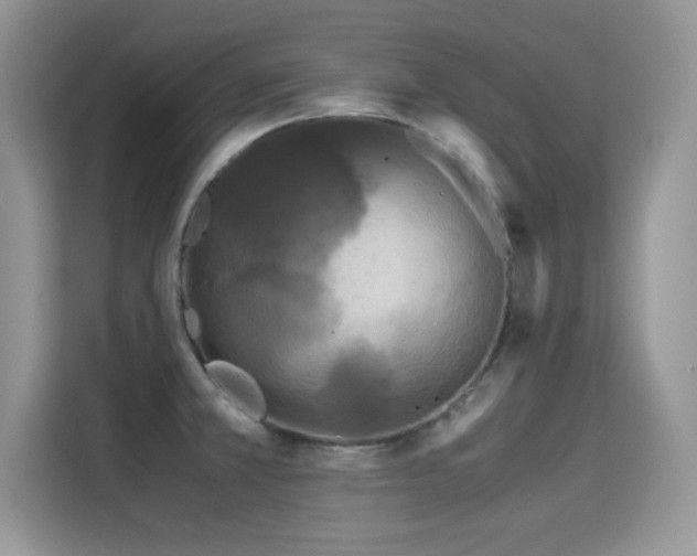 X0000115301381200911091003