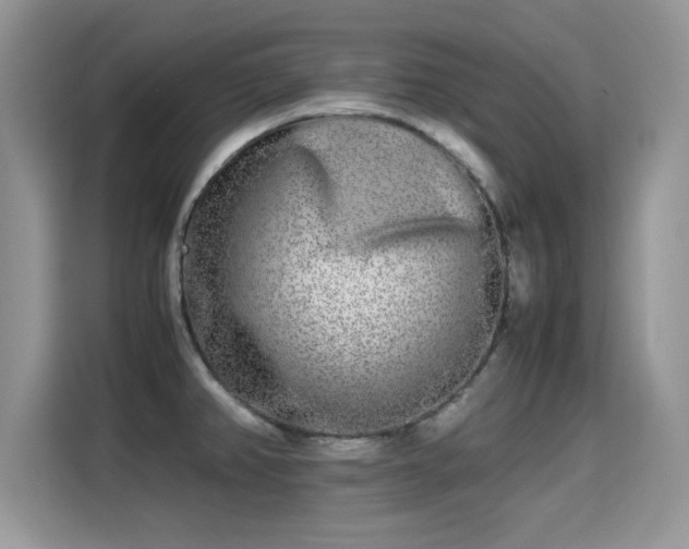 X0000115301382200911091003