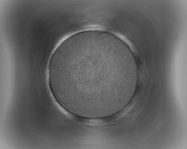 X0000115301383200911091003