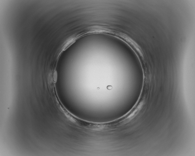 X0000115301385200911091003