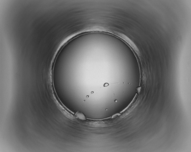 X0000115301388200911091003