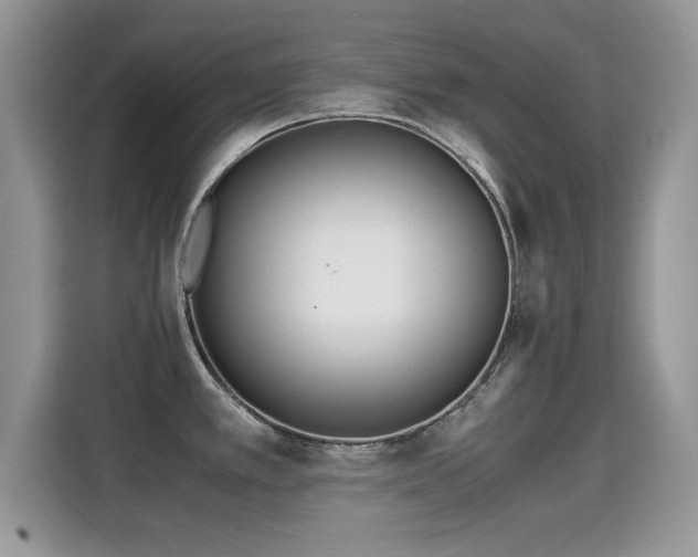 X0000115301389200911091003