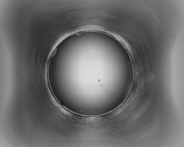 X0000115301390200911091003