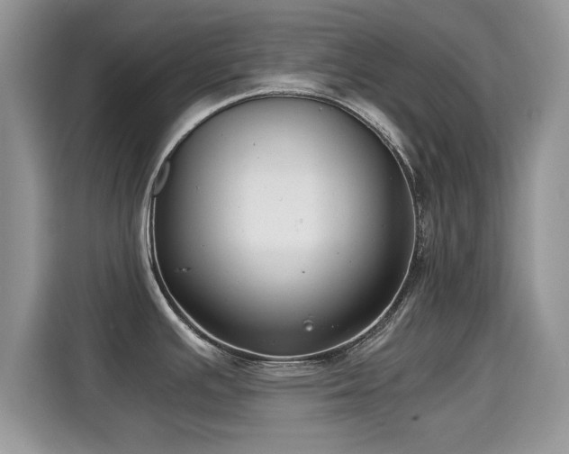 X0000115301391200911091003