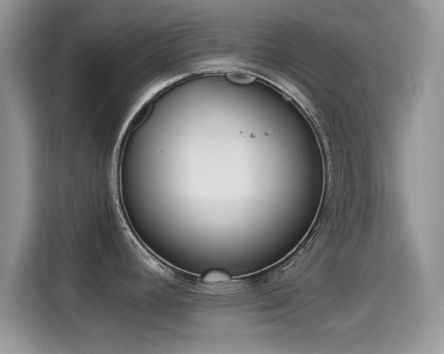 X0000115301392200911091003