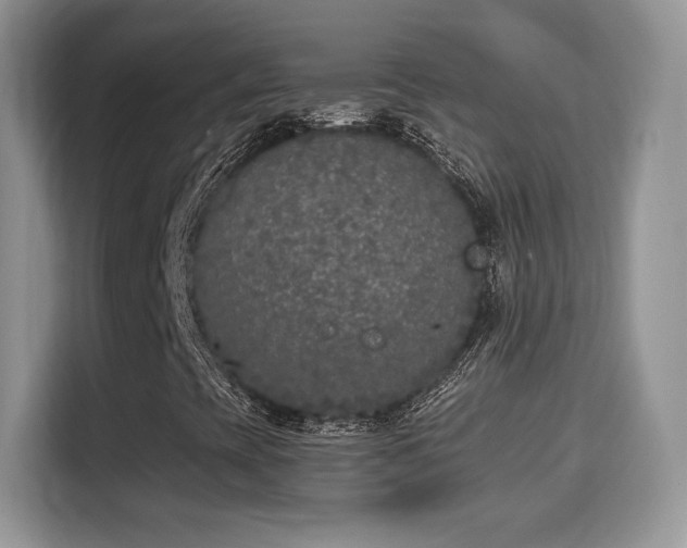 X0000115301393200911091003