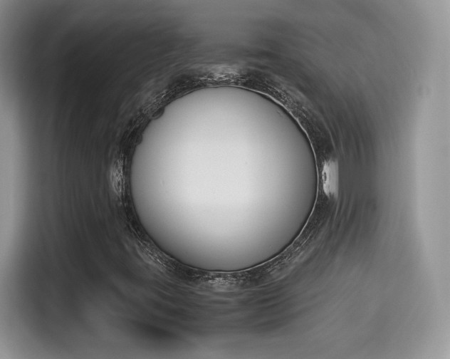 X0000115301395200911091003