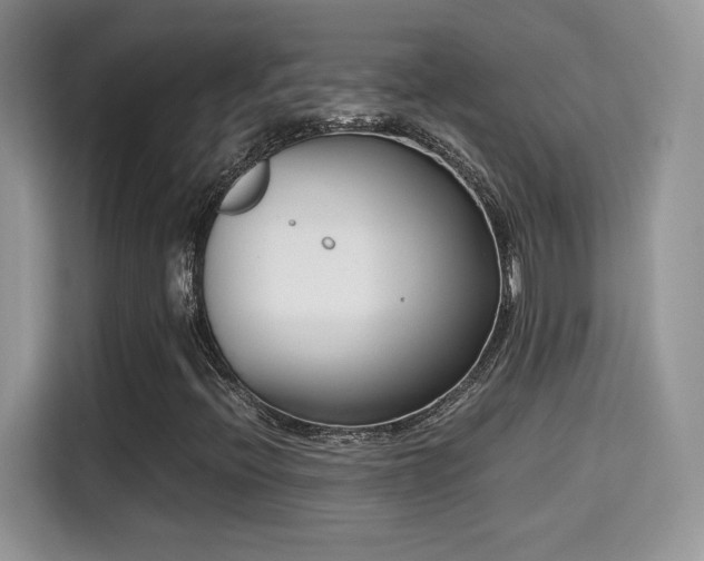 X0000115301396200911091003