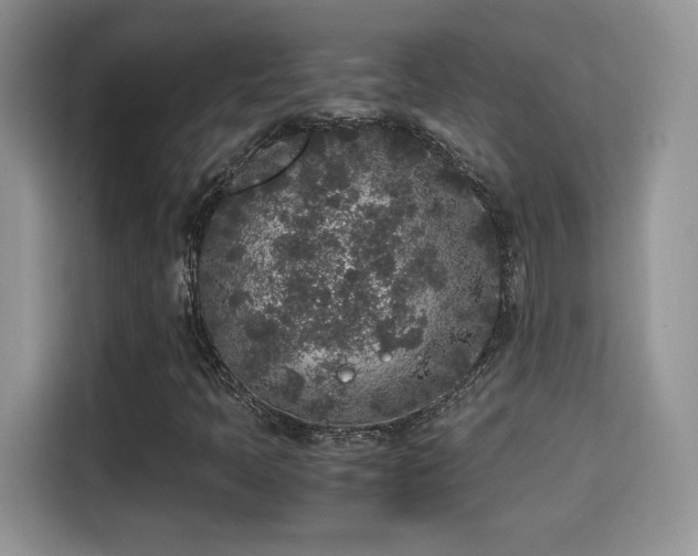 X0000115301397200911091003
