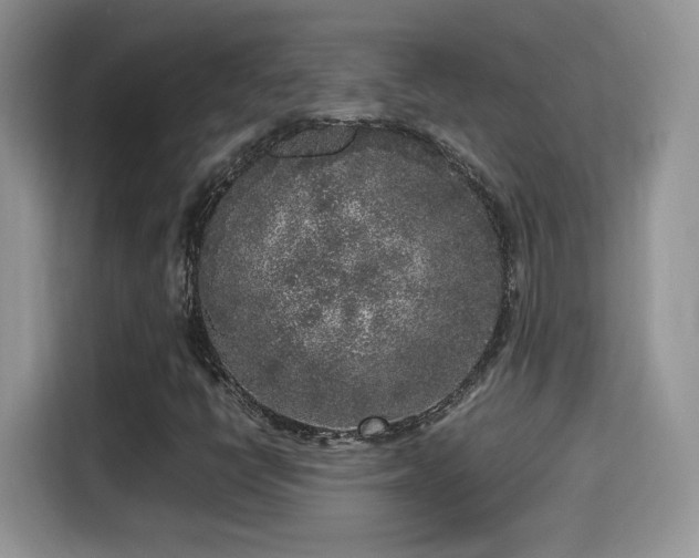 X0000115301398200911091003