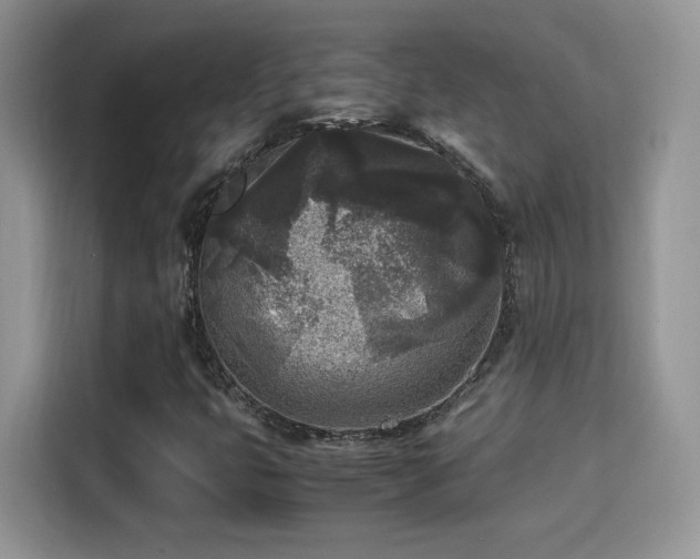 X0000115301399200911091003