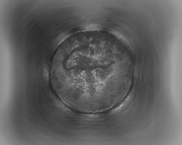 X0000115301401200911091003