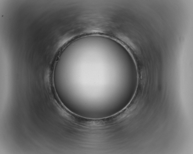 X0000115301404200911091003