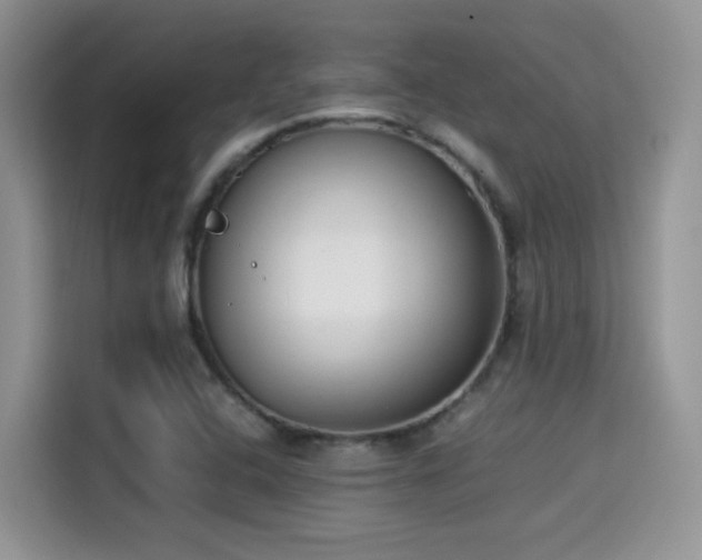 X0000115301408200911091003