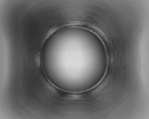 X0000115301409200911091003