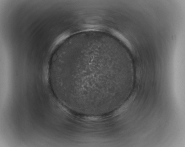 X0000115301411200911091003