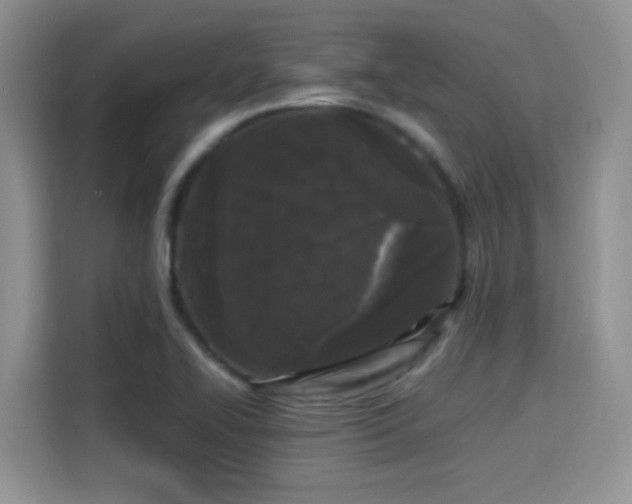 X0000115301414200911091003