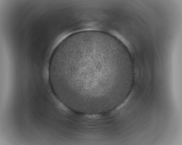 X0000115301415200911091003