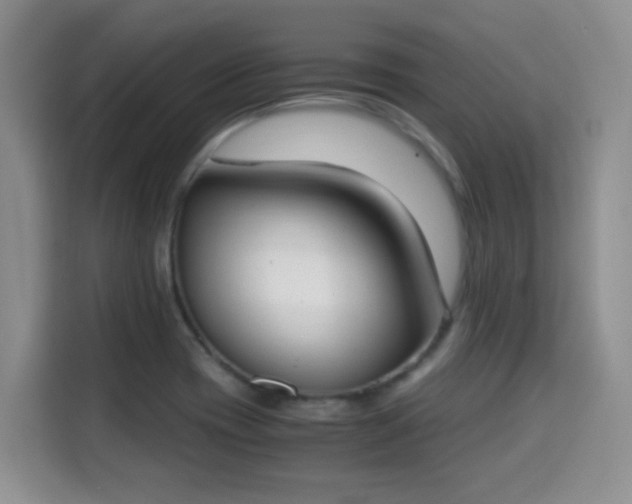 X0000115301417200911091003