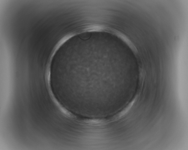 X0000115301418200911091003