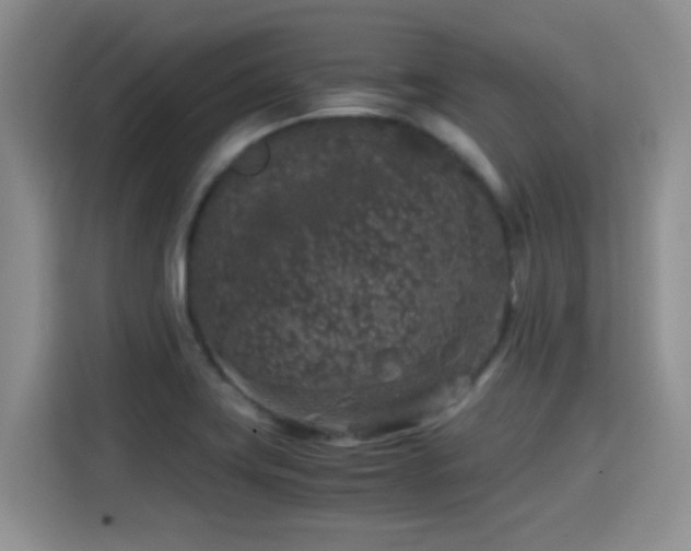 X0000115301419200911091003