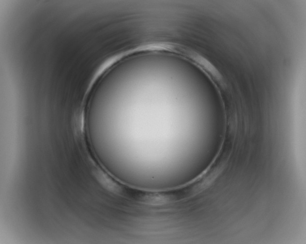 X0000115301420200911091003