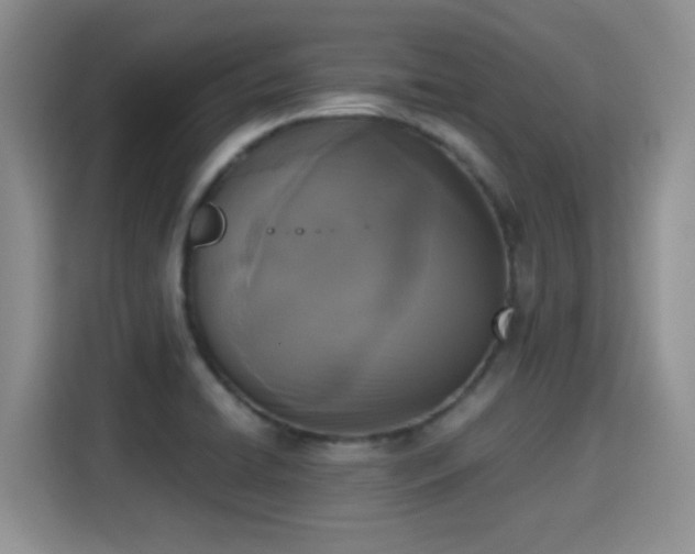 X0000115301422200911091003