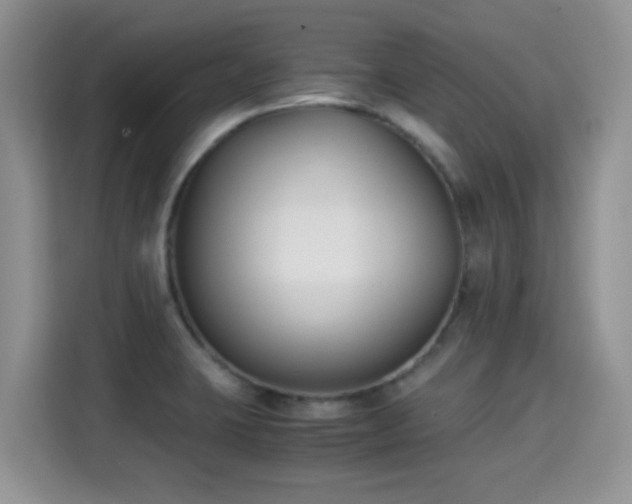 X0000115301423200911091003