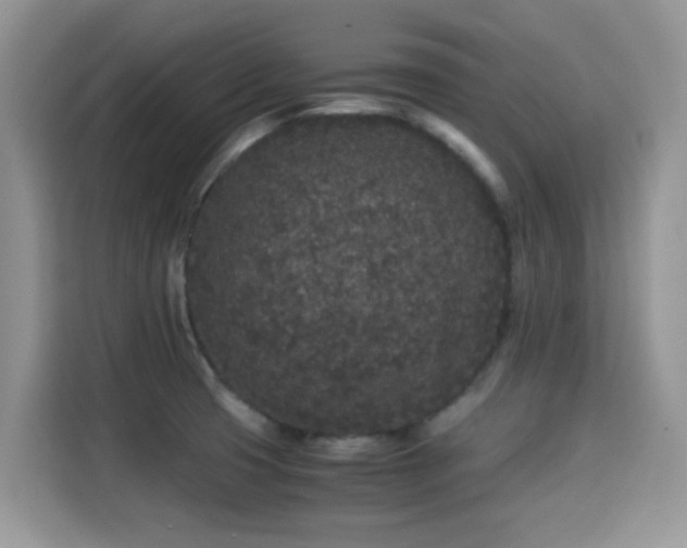 X0000115301425200911091003