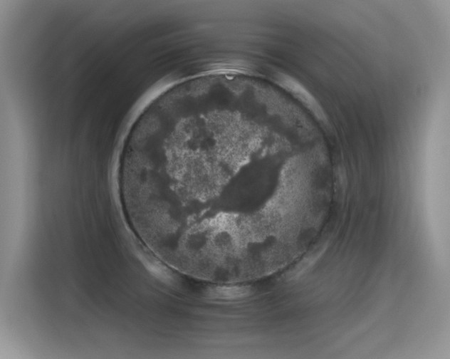 X0000115301427200911091003