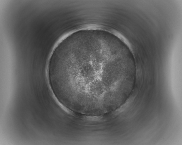 X0000115301429200911091003