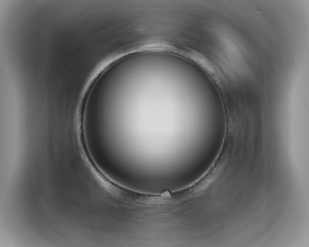 X0000115301430200911091003