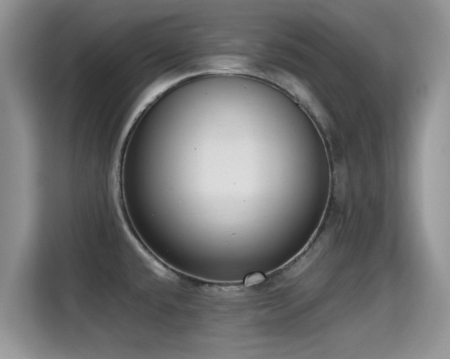 X0000115301432200911091003