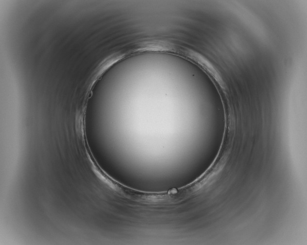 X0000115301433200911091003