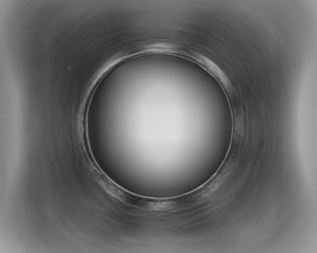 X0000115301435200911091003