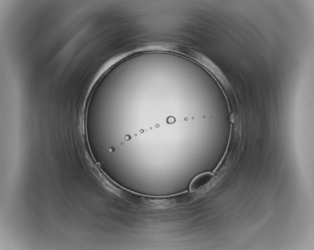 X0000115301436200911091003